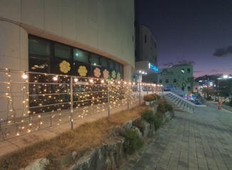 25년 대현교회 외부 성탄트리 장식